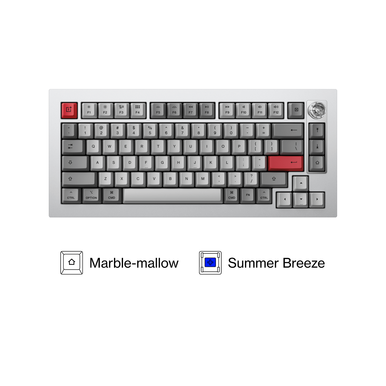 Keyboard 81 Pro PKKE221 Summer Breeze IN