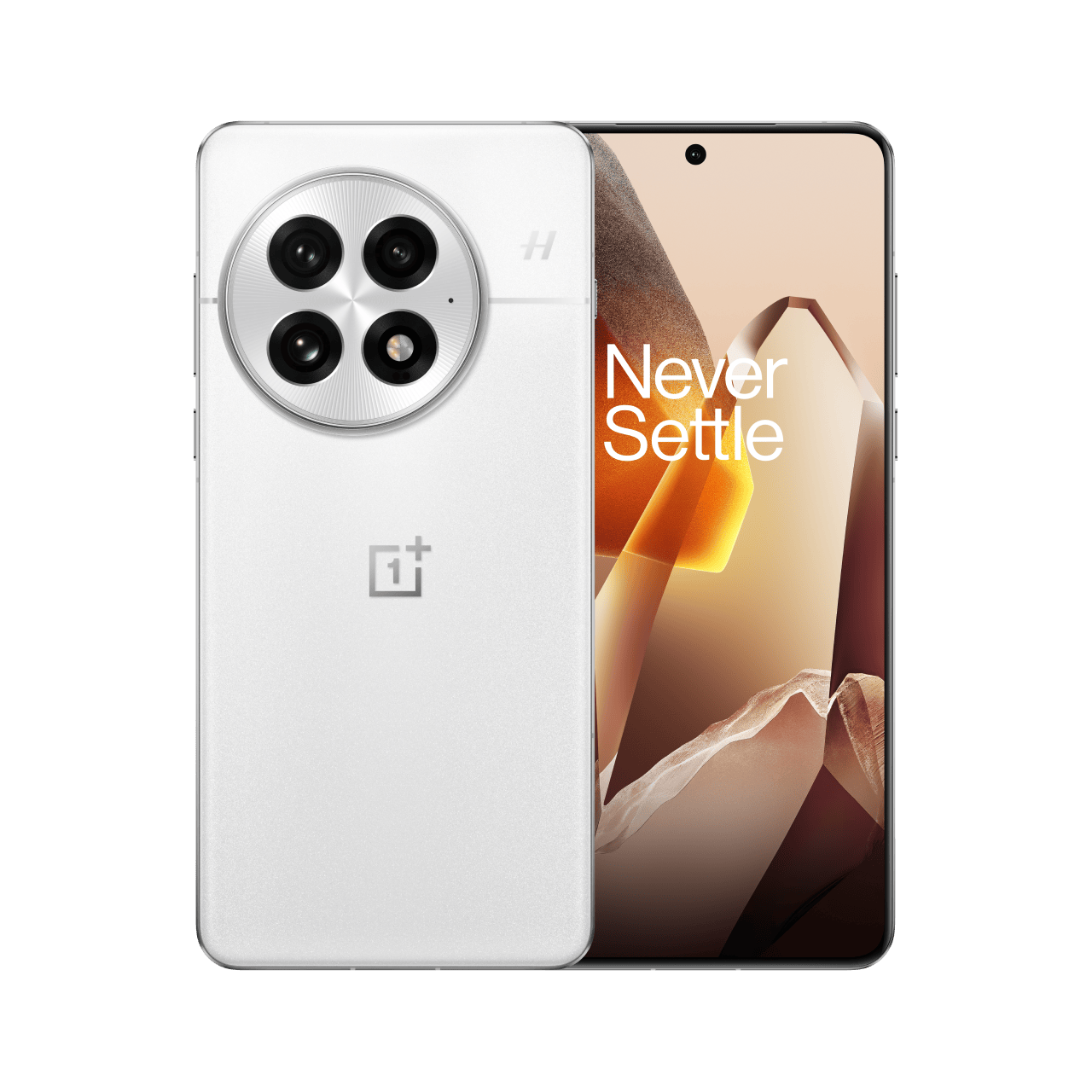 OnePlus 13 CPH2649 India 16 GB RAM 512 GB ROM Arctic Dawn IN