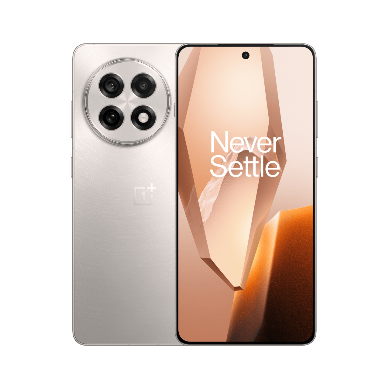 OnePlus 13R CPH2691 India 12 GB RAM 256 GB ROM Astral Trail IN